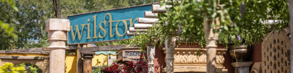 chelsea_blog_banner chelsea_blog_banner